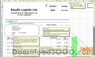 EasyEx invoicing screenshot